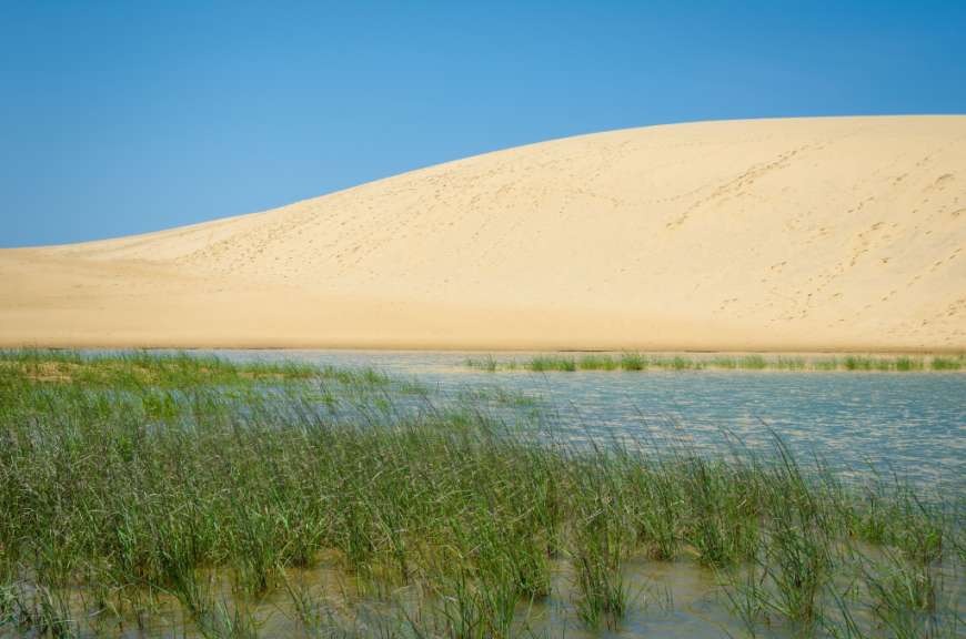 Jockey's Ridge State Park