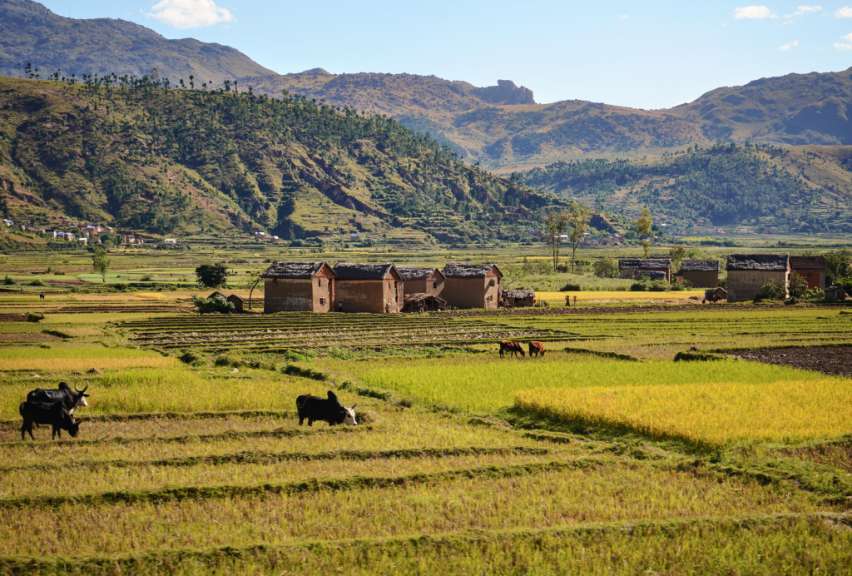 Landschaft bei Ambositra
