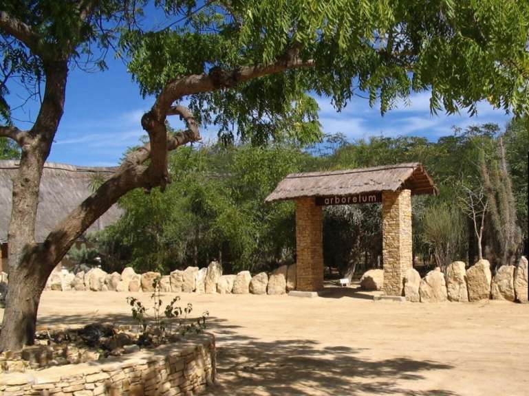 Botanischer Garten: Arboretum d’Antsokay