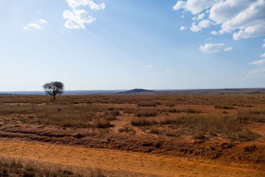 Veränderung der Landschaft: Fahrt nach Süden