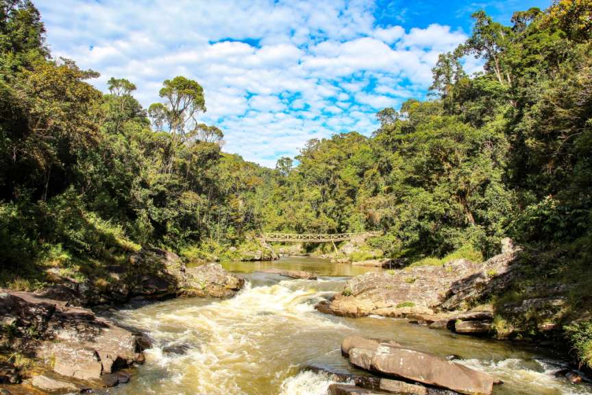 Ranomafana Nationalpark