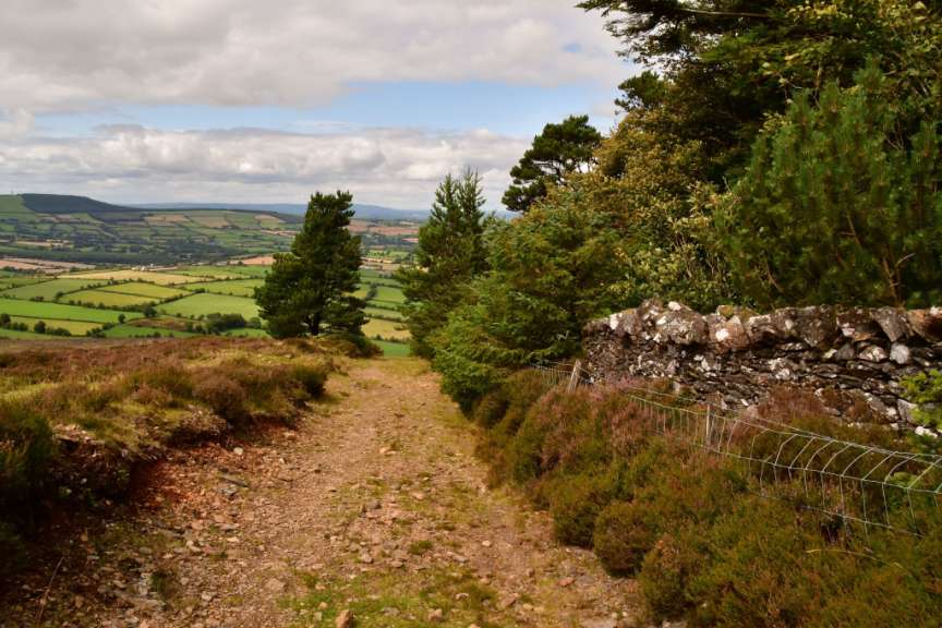 Wanderung auf den Brandon Hill