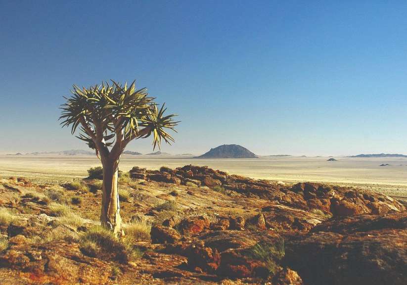 Landschaft