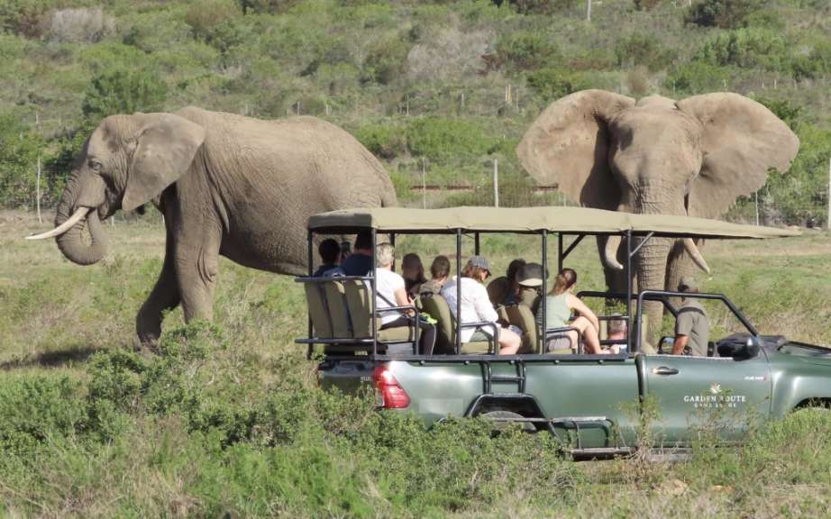 Game Drive