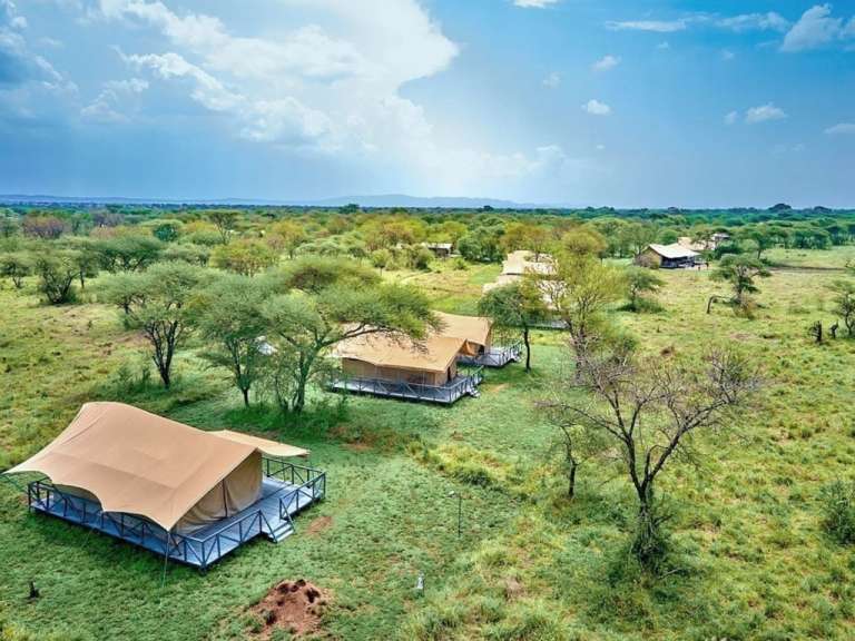 Unberührte Natur: Camp in der Serengeti