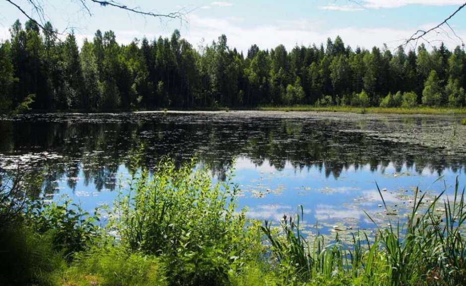 Sundsbergs Friluftsområde
