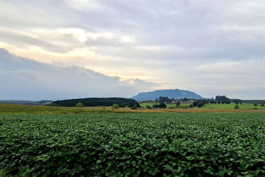 Der Weg ist das Ziel: malerische Landschaften um Piet Retief