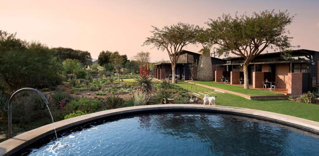 Olivenfarm bei Bloemfontein