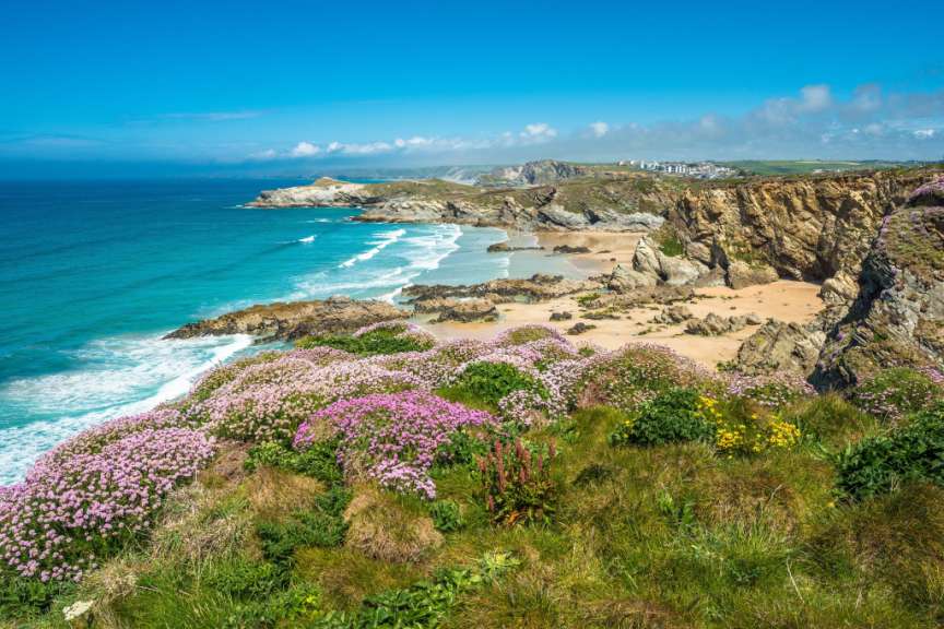 Blühende Klippen, Sandstrand und türkisfarbenes Meer an der Küste von Cornwall in Großbritannien.
