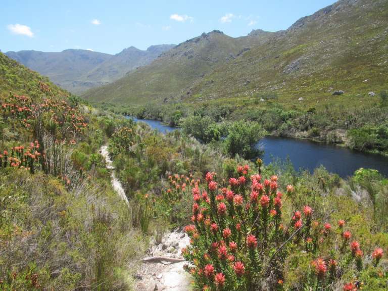 Kogelberg Nature Reserve