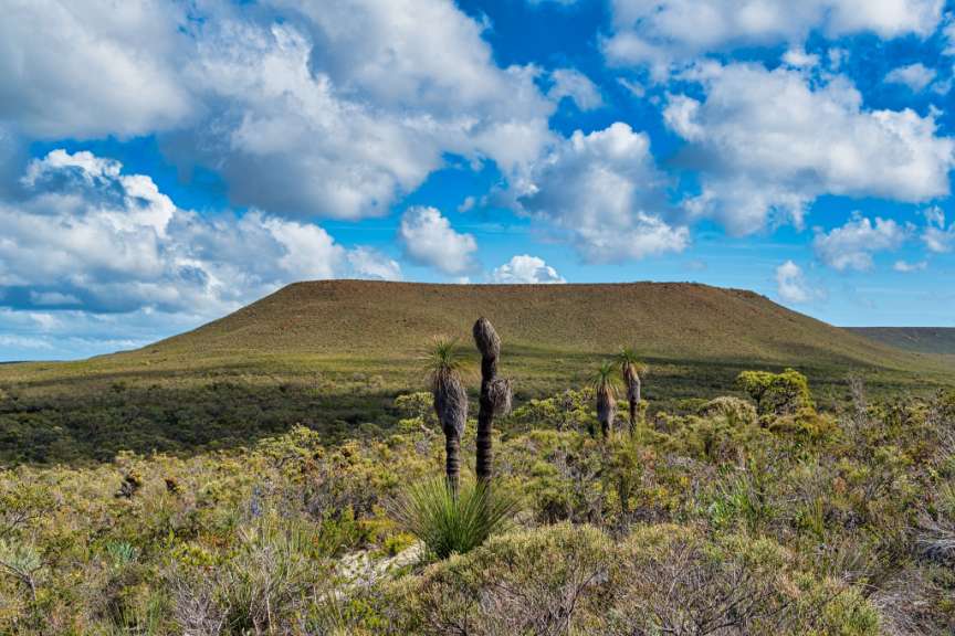 Lesueur National Park