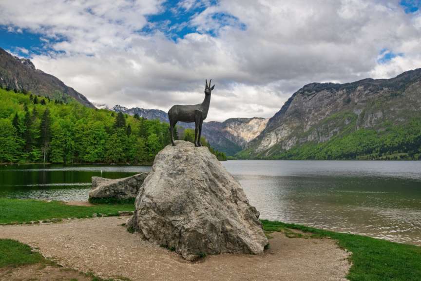 Statue der goldenen Gemse Zlatorog auf einem Felsen am Ufer des Bohinjer Sees in Slowenien.