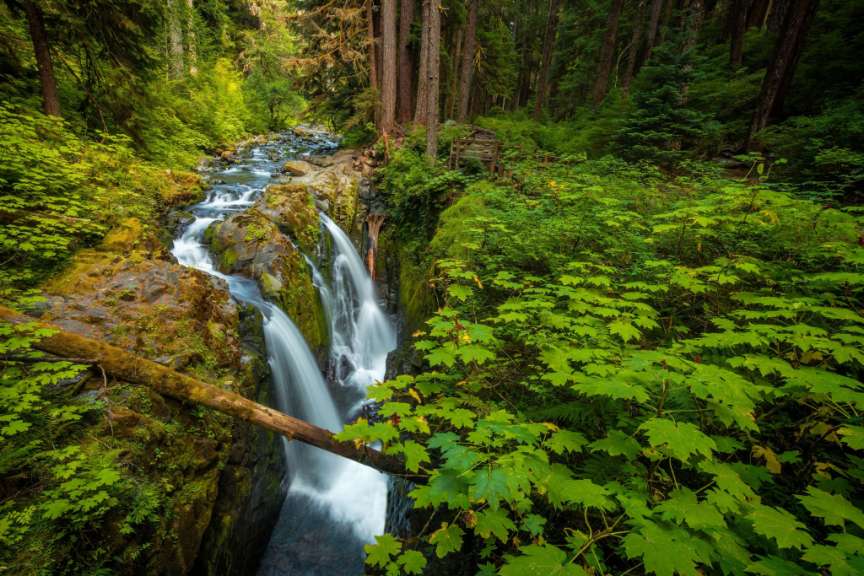 Sol Duc Falls