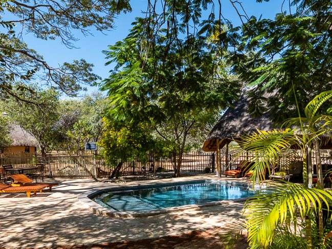 Ein von Bäumen umgebener Swimmingpool mit Liegen vor einer strohgedeckten Lodge in Namibia.