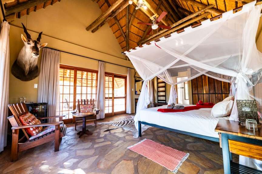 Zimmerbeispiel in einer namibischen Lodge mit stilvollem Himmelbett, traditionellem Strohdach und afrikanischer Jagdtrophäe an der Wand.