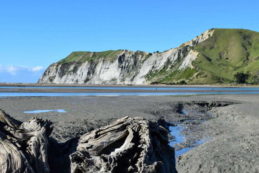 Ein Stück Holz sitzt auf einem Strand mit einem Berg im Hintergrund