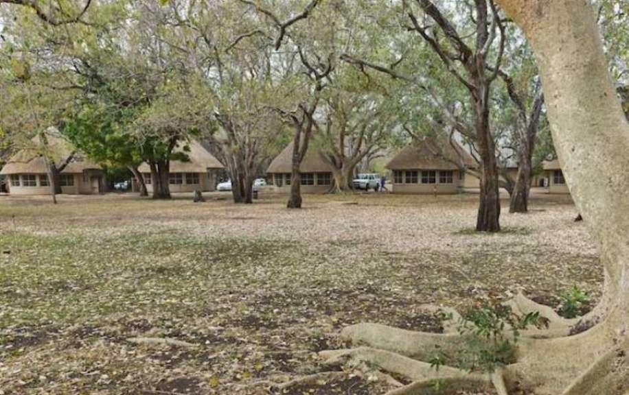 Mehrere strohgedeckte Bungalows sind von Bäumen umgeben, deren Wurzeln im Vordergrund sichtbar sind.