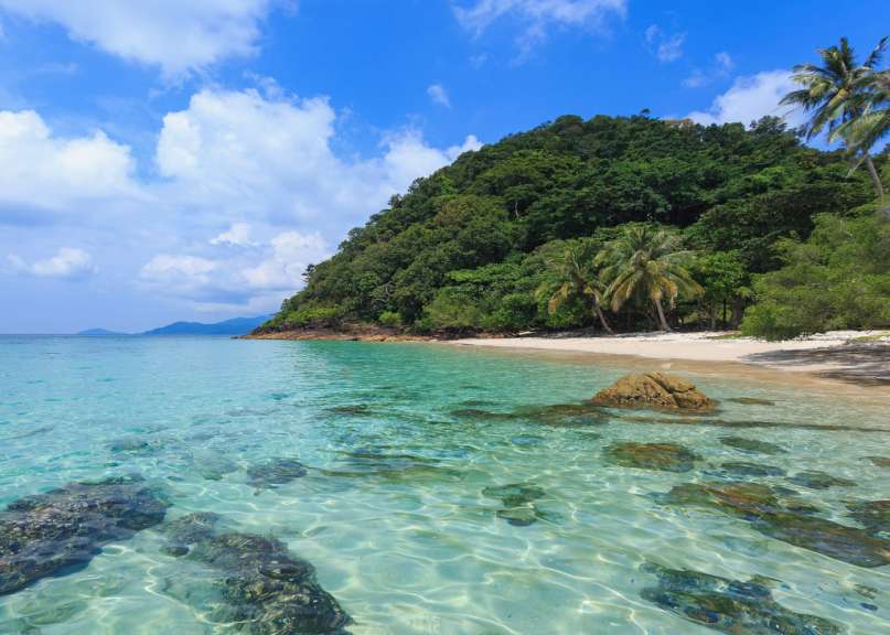 Ein tropischer Strand mit Palmen und klarem Wasser