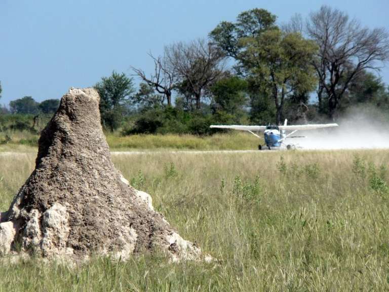 Ein kleines Flugzeug fliegt über eine Wiese