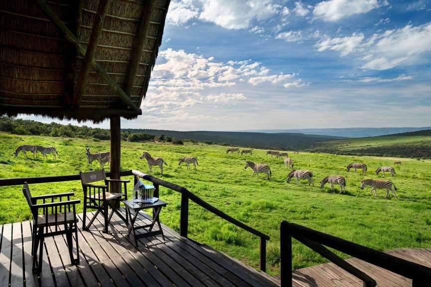 Auf einer Sonnenterrasse mit Blick auf eine grüne Ebene, auf der eine Herde Zebras grast, stehen zwei Stühle und ein Tisch mit Champagner.