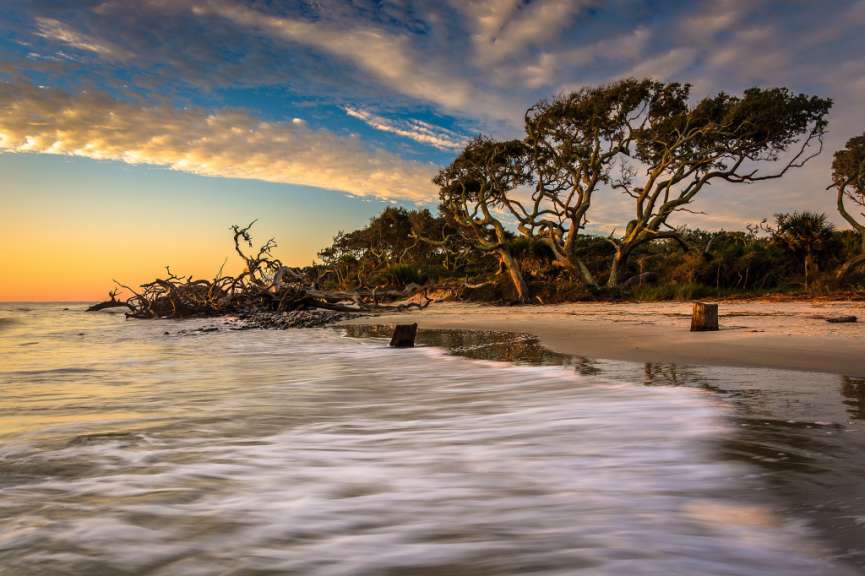 Ein Strand bei Sonnenuntergang mit Bäumen im Hintergrund