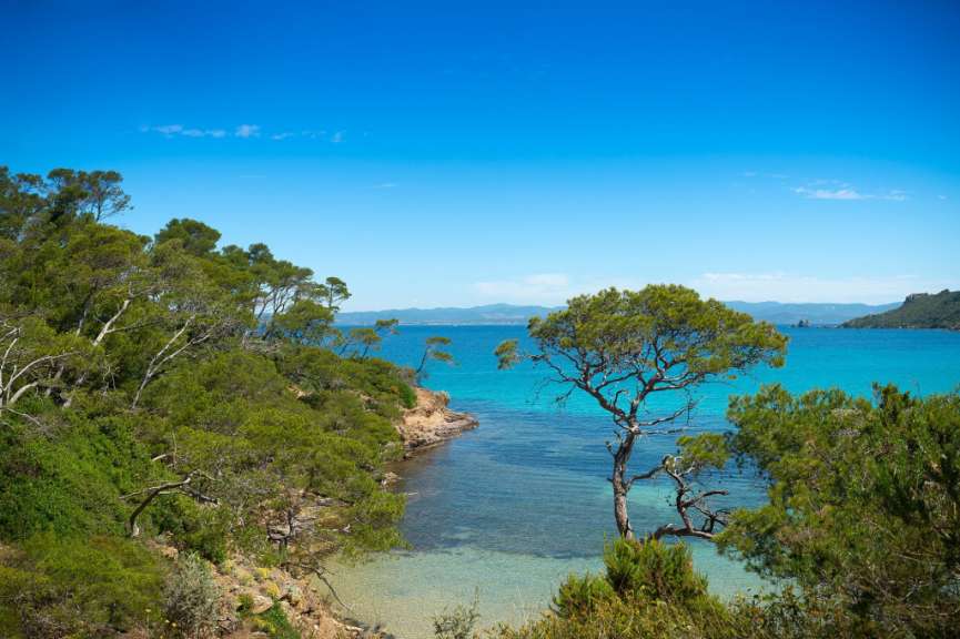 Badestrände, mediterranes Buschland: Porquerolles