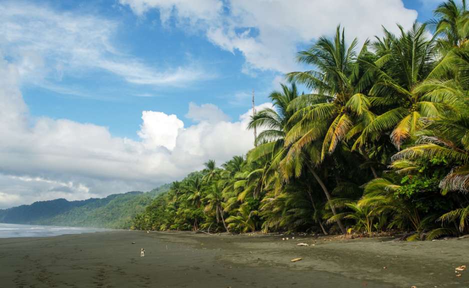Ein Strand mit Palmen und Bergen im Hintergrund