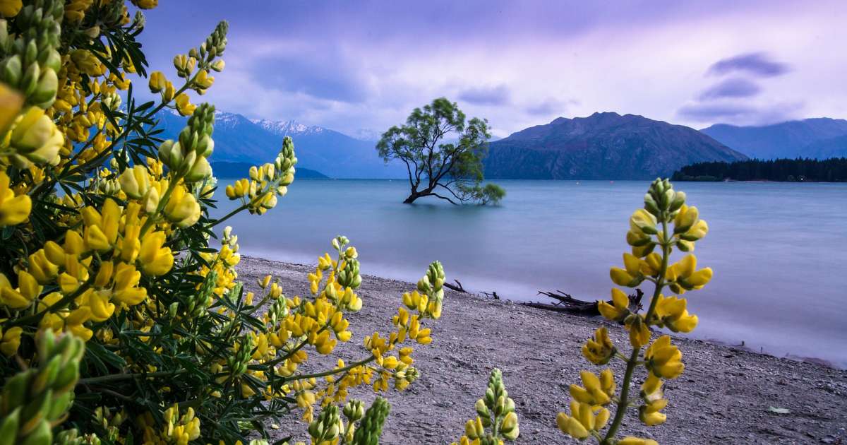 Neuseeland Rundreise 3 Wochen