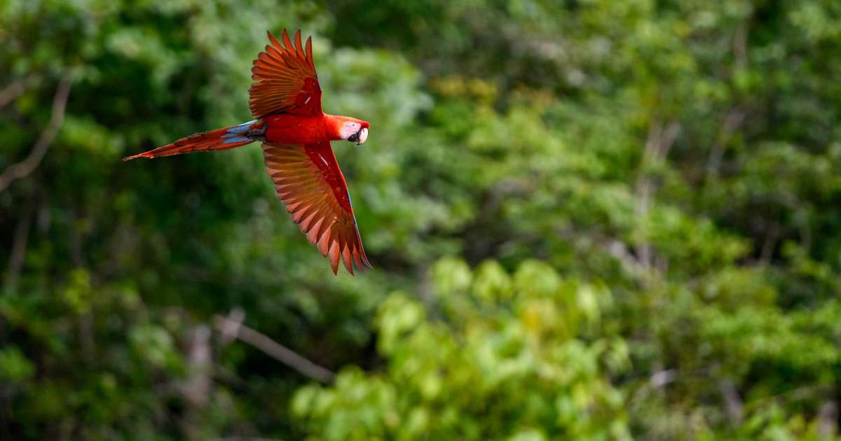 Neue Kooperation mit Wilderness International