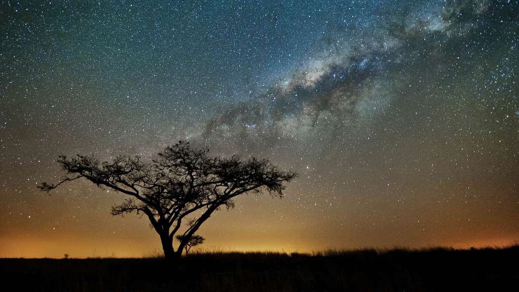 Eine Silhouette eines Baumes vor einem Sternenhimmel