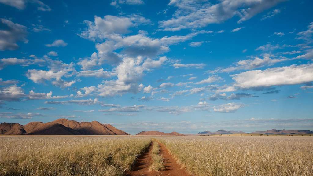 Ein schmaler, roter Feldweg führt durch ein weites Feld mit trockenem, goldenem Gras in Richtung bergiger, brauner Hügel unter einem weiten, blauen Himmel mit weißen Wolken.