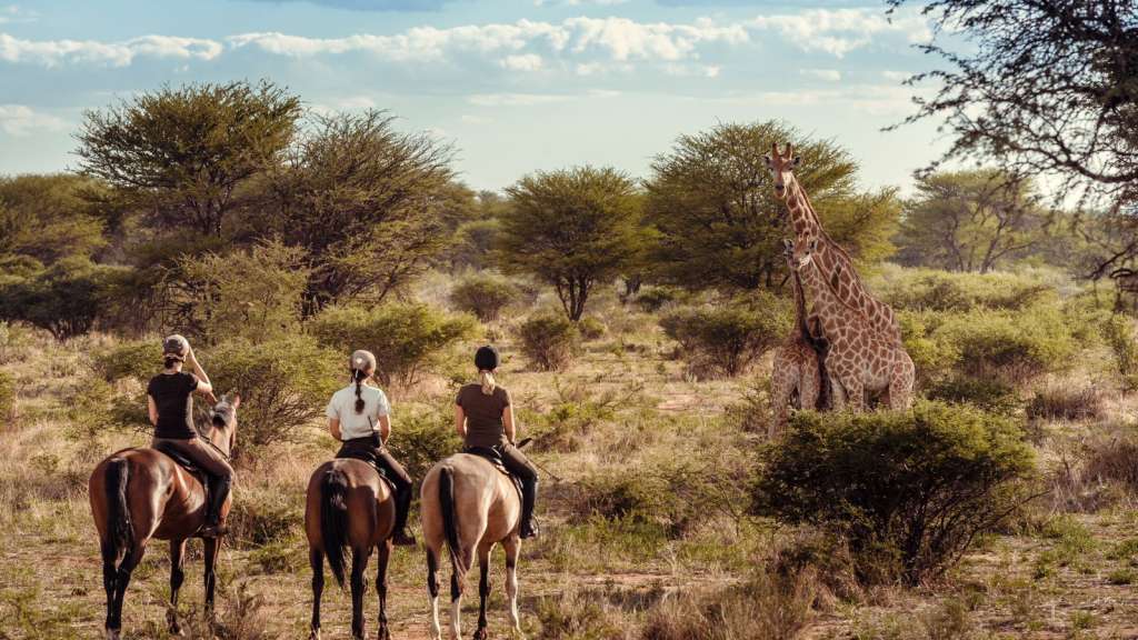 Eine Gruppe von Menschen , die auf Pferden reiten und eine Giraffe beobachten
