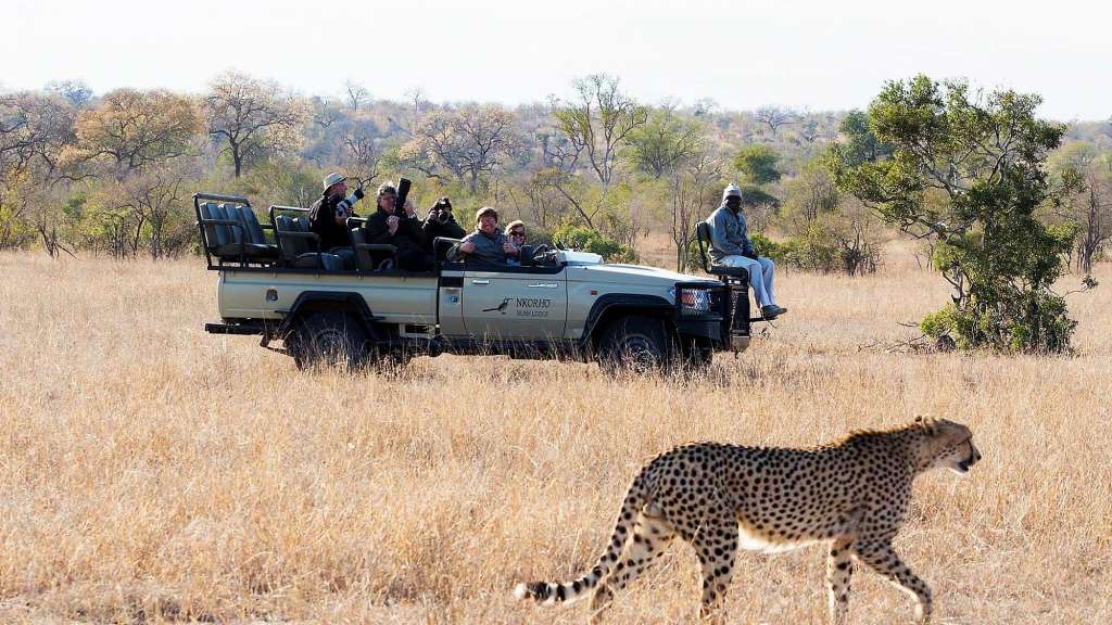 Eine Gruppe von Menschen fährt in einem Safari-Truck /media/cache/w1024-h576-c1024x576/11039549.jpg.webp