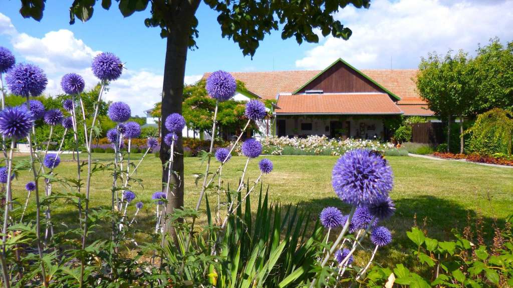 Ein Garten mit lila Blumen und einem Gebäude im Hintergrund