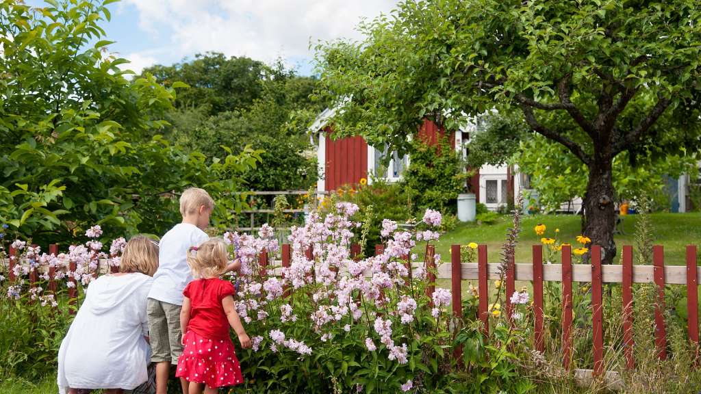 Eine Frau und zwei Kinder stehen in einem Garten und schauen auf Blumen