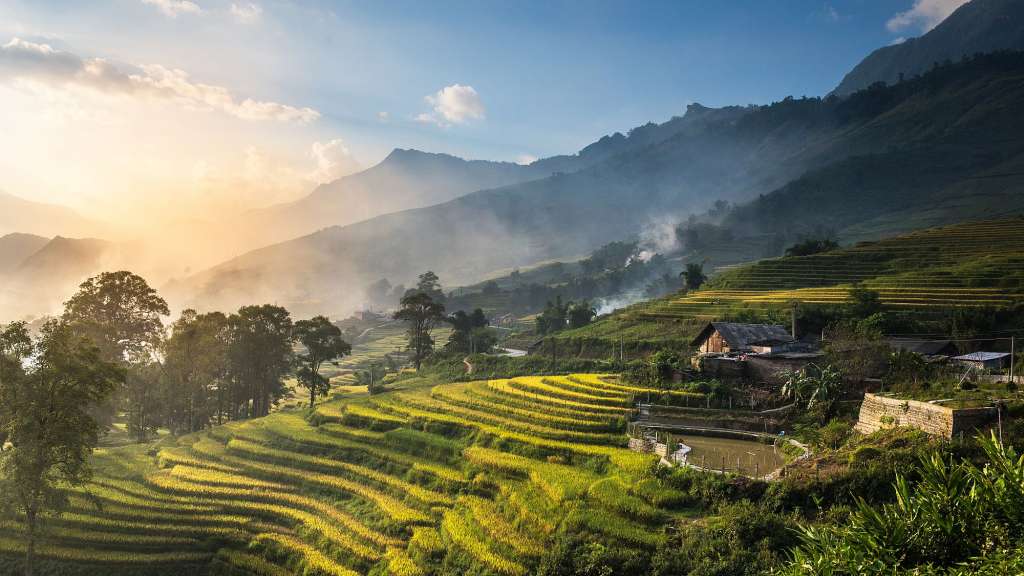 Reisfelder bei Sonnenuntergang: Sapa