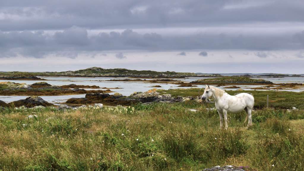 Connemara: baumlose Berge und weite Strände