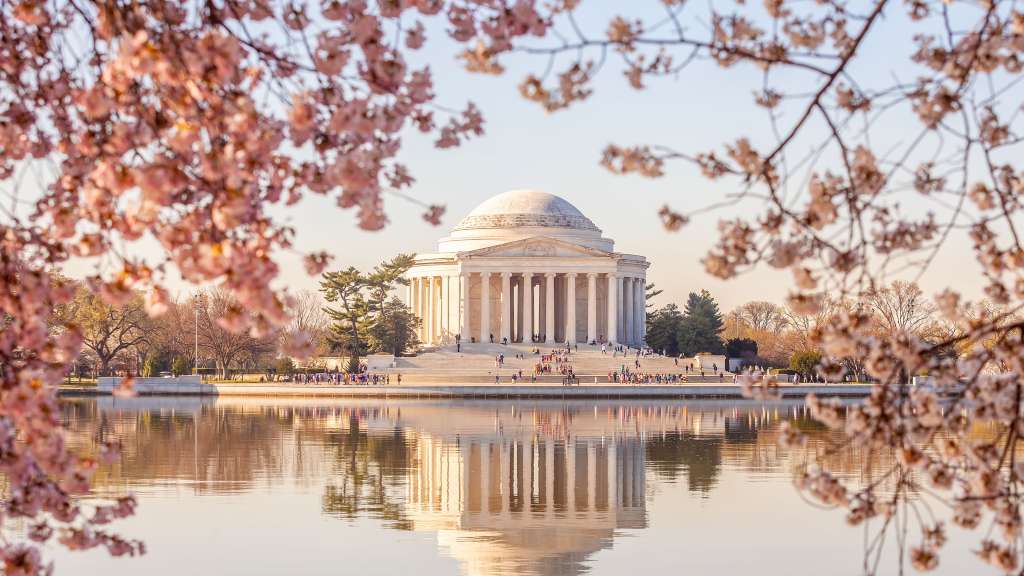 Der washington monument spiegelt sich im wasser