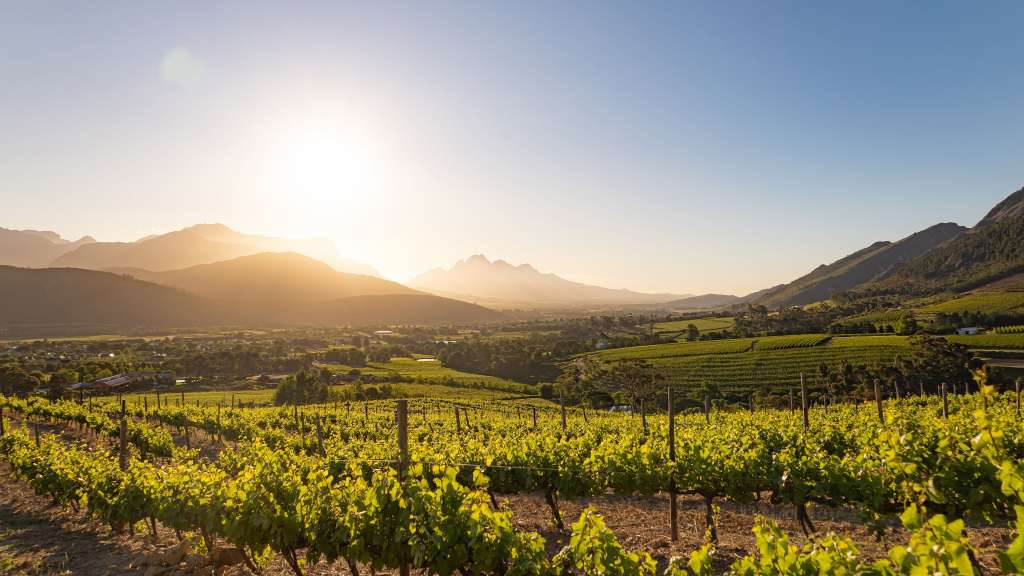 Sonnenuntergang über einem Weinberggelände mit sanften Hügeln und Bergketten im Hintergrund.