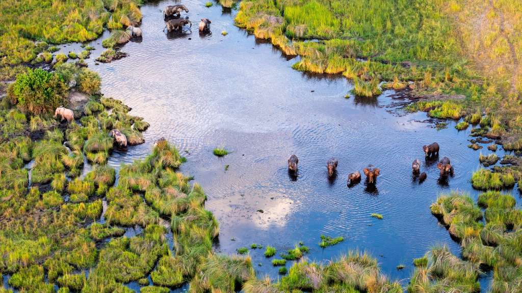 Charter Flug über das Okavango Delta