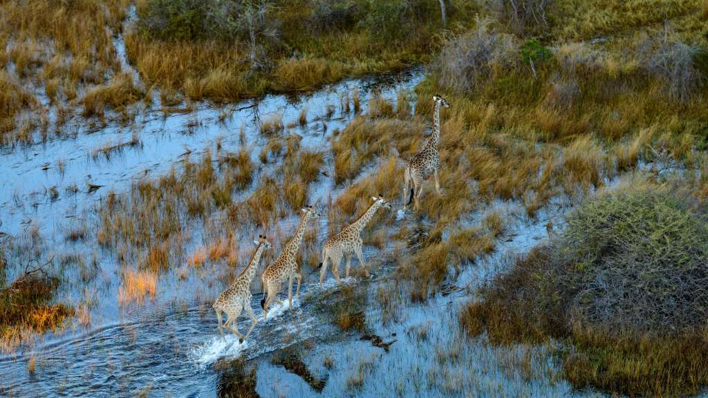  /media/cache/w1024-h576-c1024x576/11133499.jpg.webp