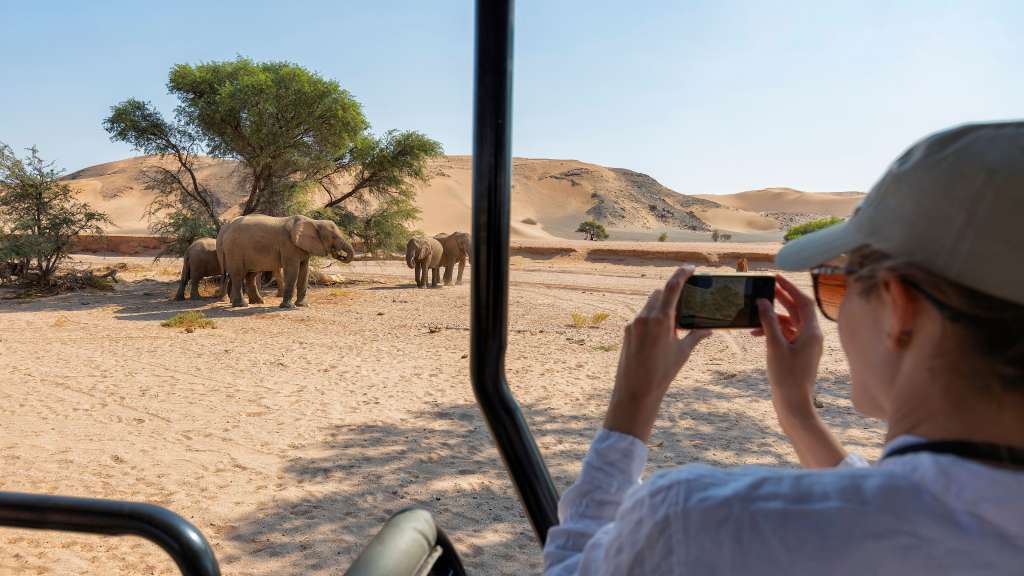 Eine Frau in einem Safari-Fahrzeug fotografiert mit ihrem Handy eine Gruppe von Elefanten in einer Wüstenlandschaft.