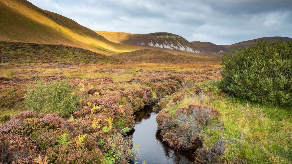 Insel Hoy im Orkney Archipel