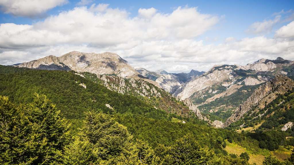 Ein Blick auf eine Bergkette mit Bäumen im Vordergrund