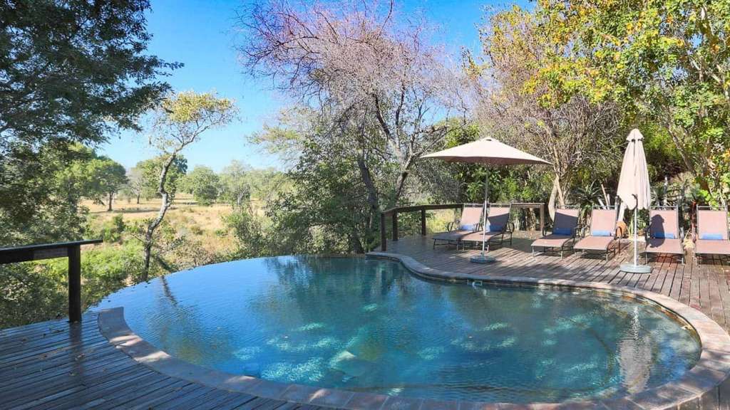 Pool mit Aussicht: Buschlodge in Sabi Sand Ein großer Pool mit Liegestühlen und Sonnenschirmen auf einem Holzdeck