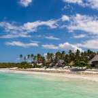 Ein Strand mit vielen Palmen und einem Haus aus Stroh
