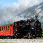 Ein rot-schwarzer Zug fährt auf den Gleisen