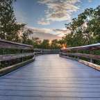 Eine Holzbrücke führt durch einen Wald bei Sonnenuntergang