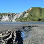 Ein Stück Holz sitzt auf einem Strand mit einem Berg im Hintergrund