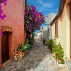 Eine schmale Gasse mit rosa und gelben Gebäuden und lila Blumen